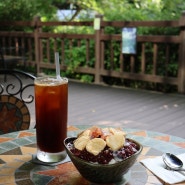 계곡뷰 팥빙수 맛집 안양유원지카페 ‘수목원가는길’