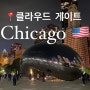 미국 여행 시카고 가볼만한 곳 : 밀레니엄파크 클라우드 게이트 콩