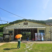 [남해맛집] 섬농부의마르쉐 _블랙베리 빙수 만들기 체험 농장 카페
