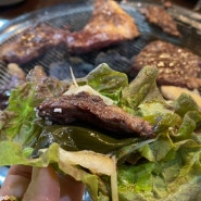 성서 한우 맛집 갈비살 맛있는 반백년한우