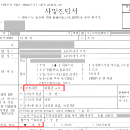 패혈증 사망 상해사망보험금 지급 사례 실제 서류