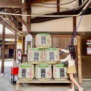 후쿠오카 근교 여행 히타 쿤쵸 양조장 사케 아이스크림