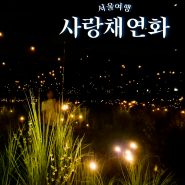 서울 실내데이트 청와대사랑채 연화 설렘의빛 전시 사진찍기좋은곳 주차장