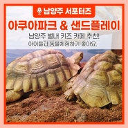 남양주 별내 키즈 카페 아쿠아파크 & 샌드플레이에서 동물체험하고 왔어요! (feat. 경기도 아이와 가볼 만한 곳)