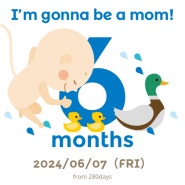 [임신 20~24주]24.6월 한달간의 기록