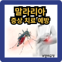 말라리아 원인 초기증상, 피부증상 치료약 예방방법