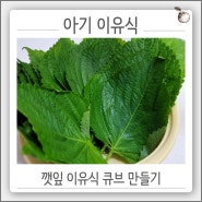 깻잎 이유식 큐브 다양한 향을 느낄 수 있게 도와주기