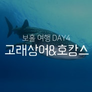 보홀 자유여행 feat. 온다이브 다이빙 맛집 날씨 마사지 헤난 프리미어 코스트 리조트 등