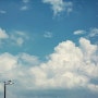자연을 담은 하늘 : 비가 그친 서울 하늘(the sky containing nature)