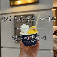 [하남 스타필드 카페] ‘젤라띠젤라띠’ 젤라또 아이스크림이 맛있는 곳. 젤라또 아이스크림 종류