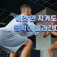 이것만 지켜도 남성 정력 좋아집니다. 남성 건강 비법