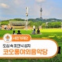 두류공원 코오롱야외음악당 도심 속 피크닉 성지