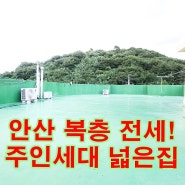 안산 전세! 가격싸고 밝고 넓은집! 본오동복층전세! 디문고 상권! 각골초, 약수터 주변! 옥상 단독사용!