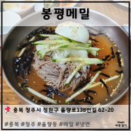 [ 충청북도 청주 ] 봉평메일 (율량도 메밀 국수 맛집)