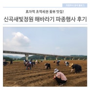 초역세권 신곡새빛정원 '해바라기 파종행사' 후기