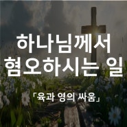 하나님께서 혐오하시는 일