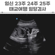 임신 23주 24주 25주 증상 태교여행