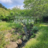 제주도 올레길 추천 8코스 2부 제주여행 추천