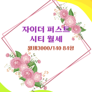 운정 자이더 퍼스트시티 저렴한 월세 84형 3000/140만원 9월말 입주