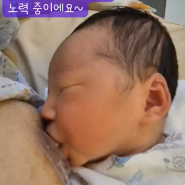 제왕절개를해도 수유를 할 수 있어요!