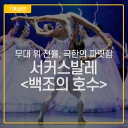 시안 아크로바틱 예술단 서커스 발레 <백조의 호수> 한국 초연