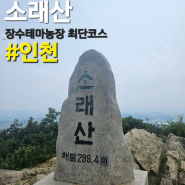 [인천 만수동] 강바우의 근교산 소래산 최단코스 / 장수테마농장 소래산 코스