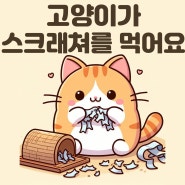 고양이가 종이스크래쳐를 먹었어요 괜찮나요?