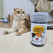 고양이 화장실 냄새 없애는 비마이펫 고양이 모래 탈취제 추천 효과 좋고 향기 없는 여름철 필수 집사템