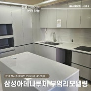 ✅ 분당 정자동 한샘 인테리어 삼성아데나루체 47평 주방 그레이 리모델링
