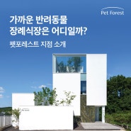 김포 서울 인천 분당 강아지 고양이 반려동물 장례식장 가까운 곳 찾는다면?