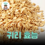 귀리 효능 아침에 먹으면 좋은 이유