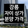 강릉 자이 파인베뉴 상가 분양 가격