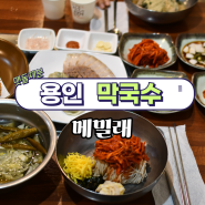 용인 기흥 맛집 신갈 외식타운 명태식해 막국수