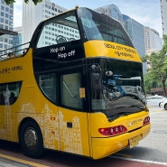 혼자 서울 여행 노랑풍선 서울시티투어버스 코스 2층버스 예약 할인 야경
