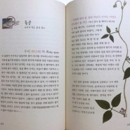 야생초 편지_ 황대권