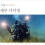 세부 다이빙 뉴그랑블루 스쿠버다이빙 세부 여행 후기