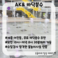 [세종/어진동] AK& 바닥분수/수질검사 합격한 안전한 물놀이시설, 무료, 아이들이 좋아해요!(추천)