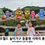 대전 오월드 놀이기구 동물원 사파리 버스 아기랑 갈만한곳 입장료 할인 정보
