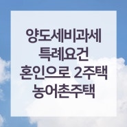 신혼으로 인한 2주택과 농어촌주택에 대한 양도세 비과세 특례요건