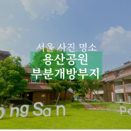 서울 사진 명소 용산공원 부분개방부지