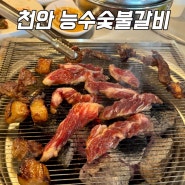 천안역 소고기 맛집 능수숯불갈비 천안 야장 가볼만한곳