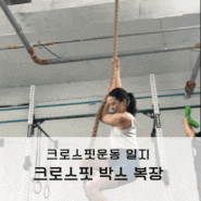 크로스핏운동 일지 크로스핏 운동 효과 밧줄 로프 타기 복장 박스 후기