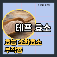 테프 효소 효능 소화효소 부작용