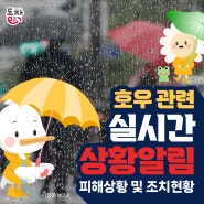 7/21 서울 지역 호우 예비특보 🌂⚡ 동작구 실시간 상황 안내