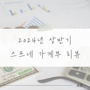 5년 차 신혼부부 24년 상반기 가계부 결산 :: 맞벌이 부부, 저축률 49.6%