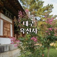 대구 고택 <육신사, 태고정, 도곡재> 목백일홍