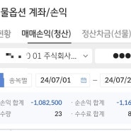 2024년 7월 20일 파생상품 국내 국외 지수 주식 선물옵션 투자(?)