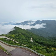 [솔이의 랜산여행]소백산 국립공원 등산코스(죽령-제2연화봉대피소)