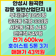 원곡 강문일반산업단지 내 대형공장 매매 전기 600kw 호이스트 5톤 3기 처마 층고 8m-원곡면 외가천리