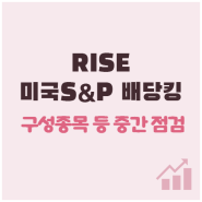 RISE 미국S&P배당킹 (구성종목 변경 등 중간점검)